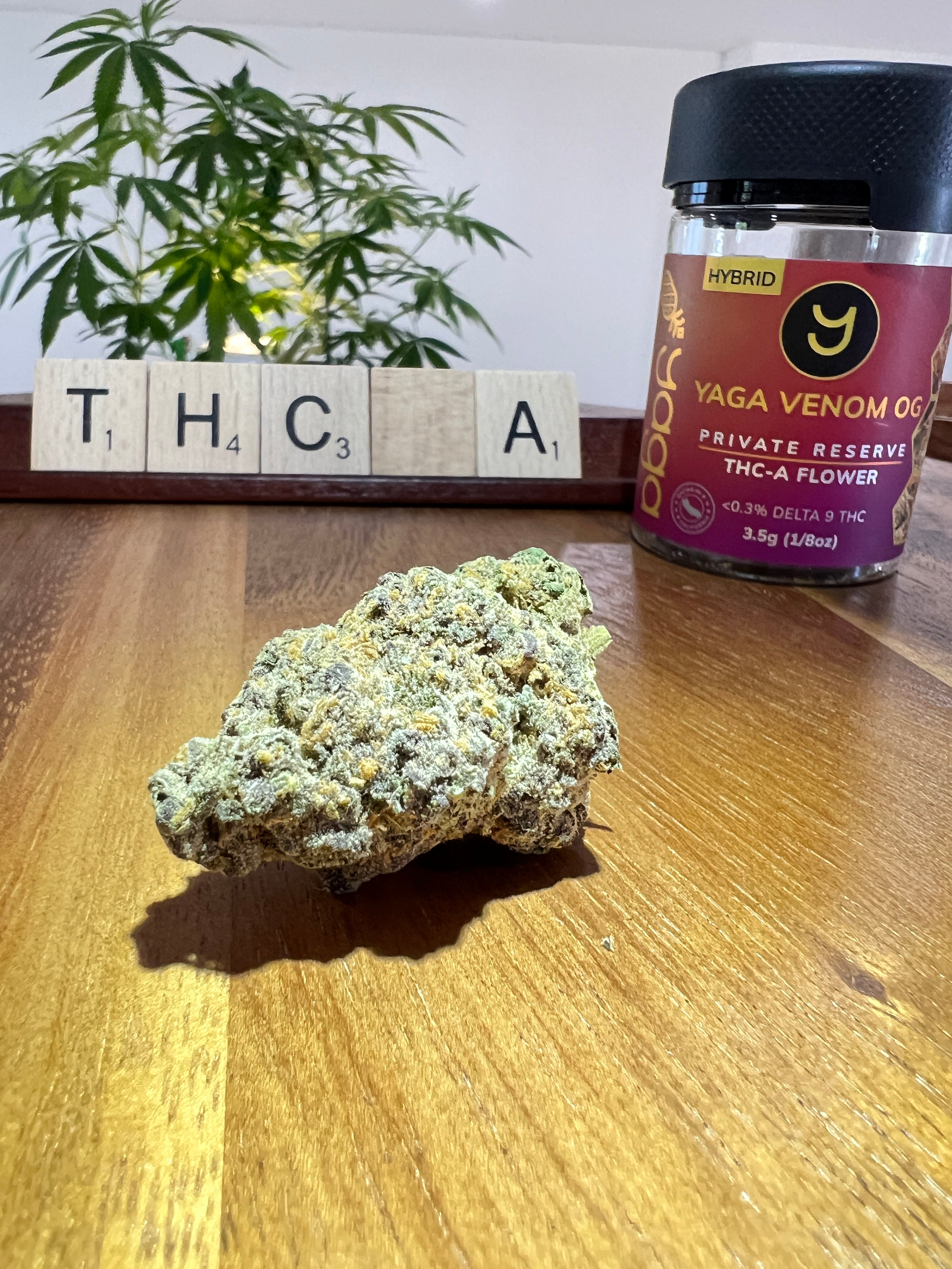 Understanding THCA The Non Psychoactive Precursor Of THC YAGA Farms   0CD58EF5 D031 42B2 8C02 A00353C80D64 