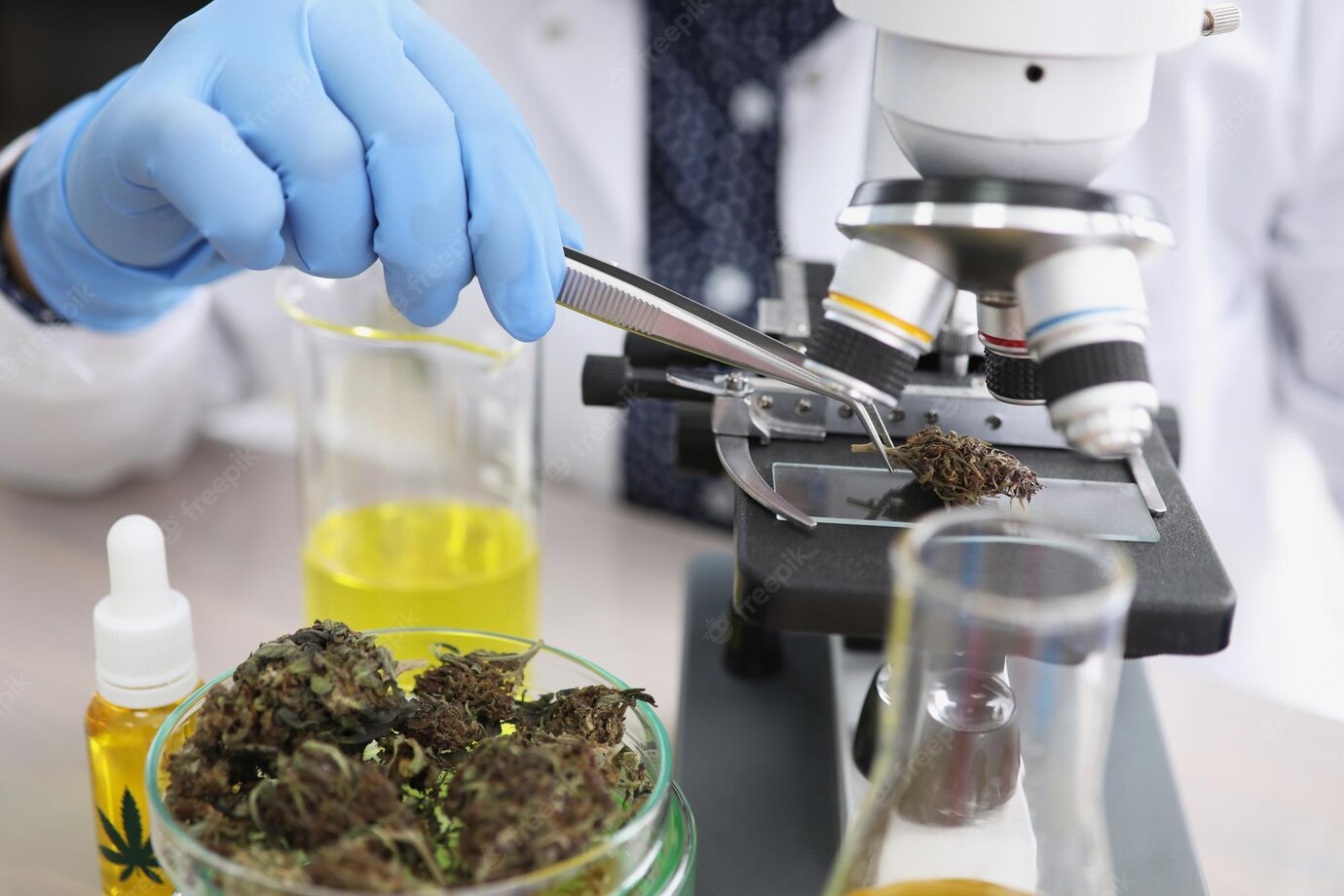 YAGA Farms Cannabis testing to ensure compliance