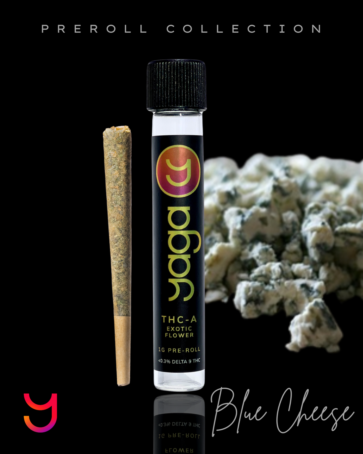 YAGA Blue Cheese Preroll – 1g indica OG Kush THCa flower infused with Blue Cheese terpenes. 33% THCa, bold cheese aroma with sweet berries and kush undertones.