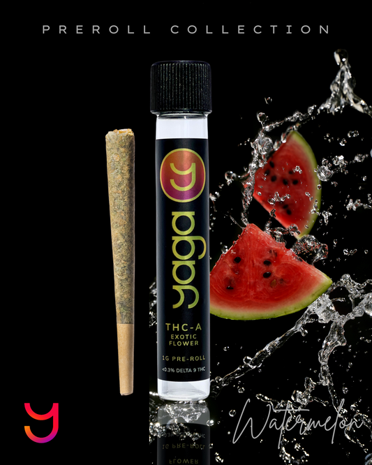 YAGA Watermelon Preroll – 1g indica blend of OG Kush & CBD flower infused with live resin watermelon terpenes. 33% THCa, premium farm-direct cannabis.