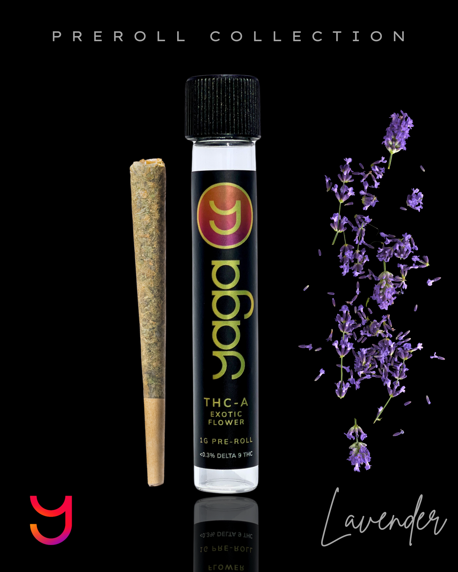 YAGA Lavender Preroll – 1g hybrid Citrus Berry Gas THCa flower infused with lavender terpenes. 34% THCa, smooth floral aroma with citrus and gas undertones.