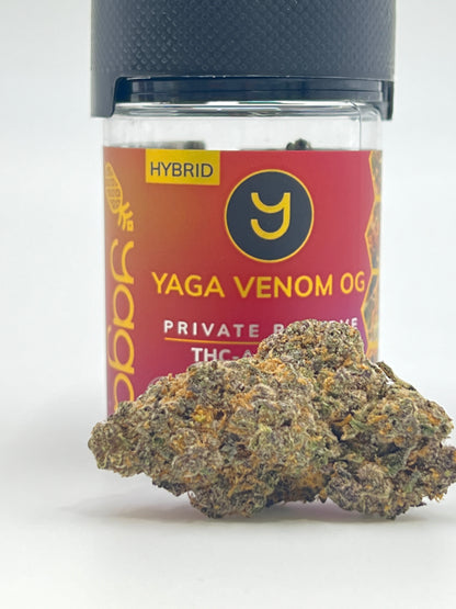 YAGA Farms Venom OG THCa Flower: A captivating image showcasing the premium quality and distinctive features of our Venom OG THCa flower strain, known for its potency and unique characteristics.