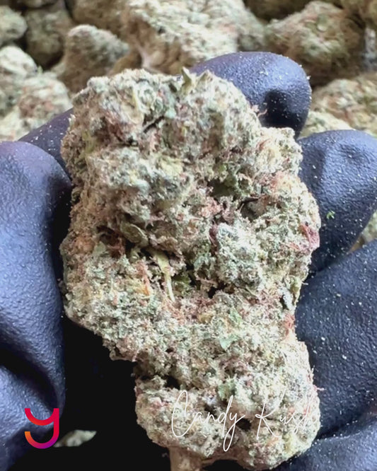 YAGA Farms Candy Kush bud – dense, trichome-rich indica-dominant hybrid with vibrant green hues, amber pistils, and a frosty strawberry-banana aroma.