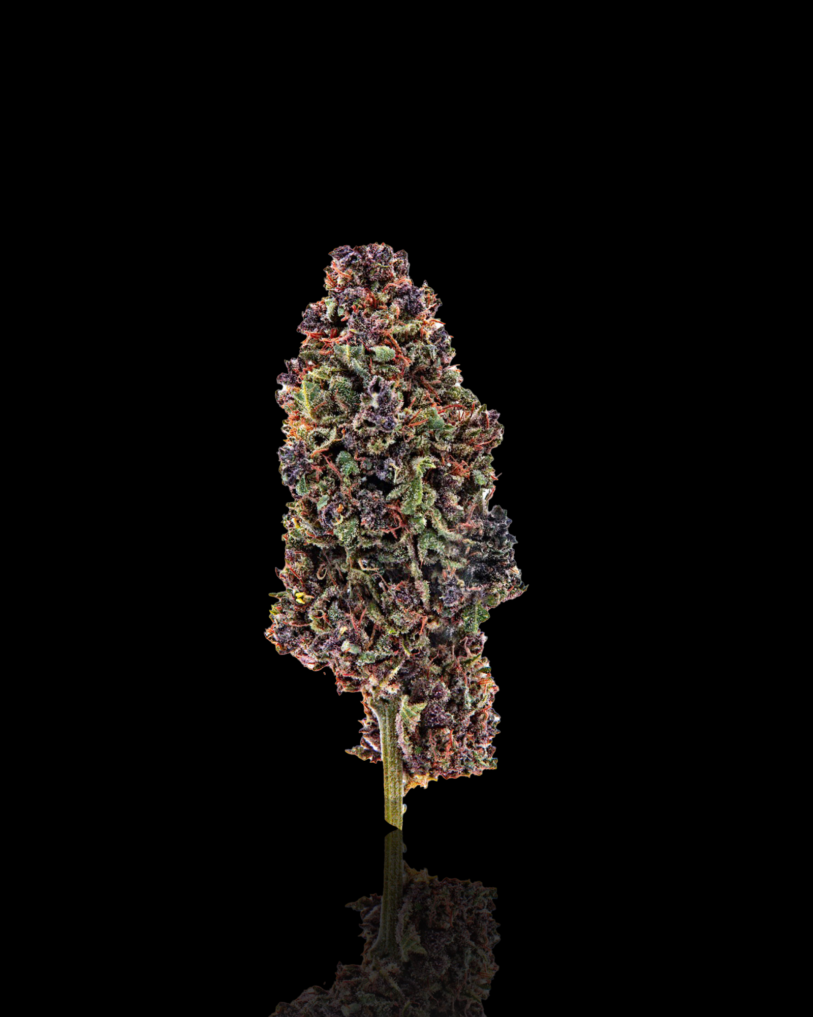 YAGA Farms Dessertz 3.5G - Indica: Experience indulgent sweetness in this image capturing the essence of decadent candy.